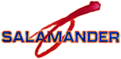 Salamander (TurboGrafx-16) Play Online