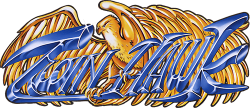 Twin Hawk (TurboGrafx-CD) Play Online