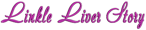 Linkle Liver Story (Saturn) Play Online