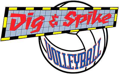 Dig & Spike Volleyball (SNES) Play Online