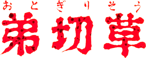 Otogirisou (SNES) Play Online