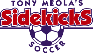 Tony Meola's Sidekicks Soccer (SNES) Play Online